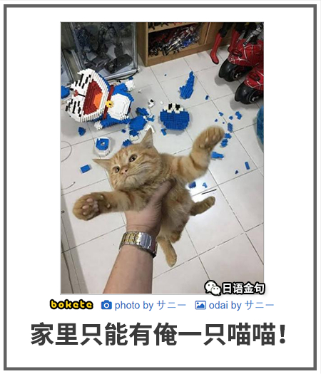0372  中文网络风尚图片