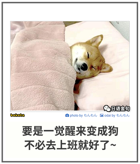 0384  中文网络风尚图片