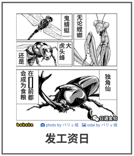 0391  中文网络风尚图片
