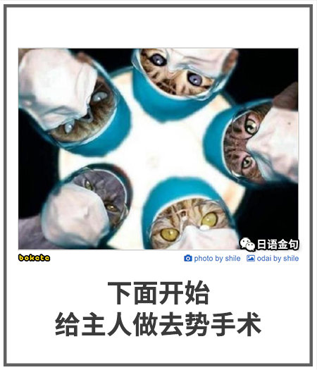 0395  中文网络风尚图片