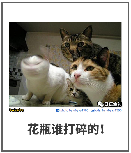 0399  中文网络风尚图片