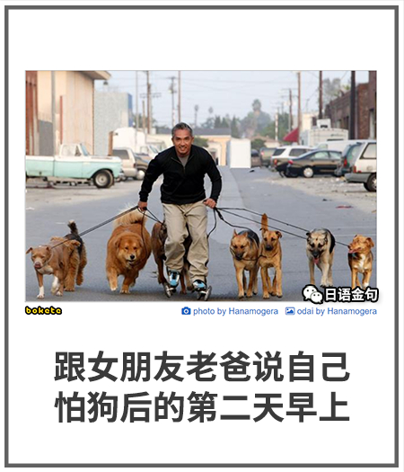 0408  中文网络风尚图片