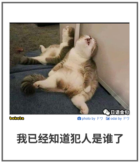 0413  中文网络风尚图片