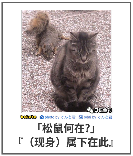 0422  中文网络风尚图片