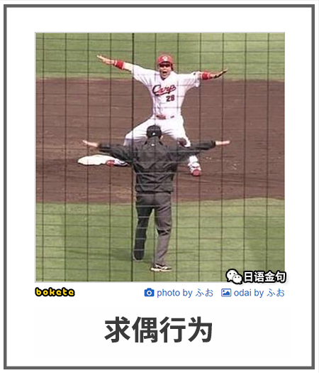 0424  中文网络风尚图片