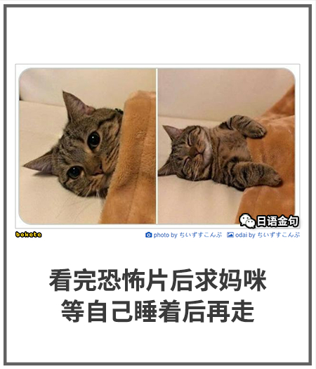 0429  中文网络风尚图片