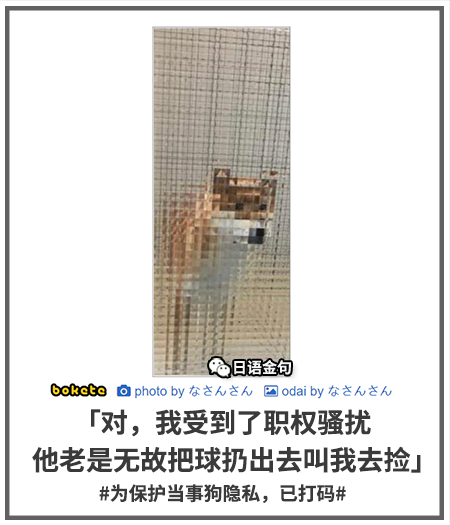 0434  中文网络风尚图片