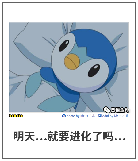 0437  中文网络风尚图片