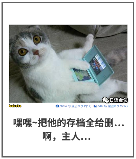 0438  中文网络风尚图片
