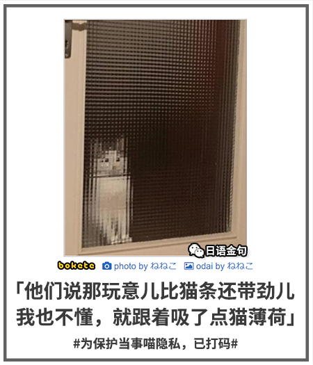 0442  中文网络风尚图片