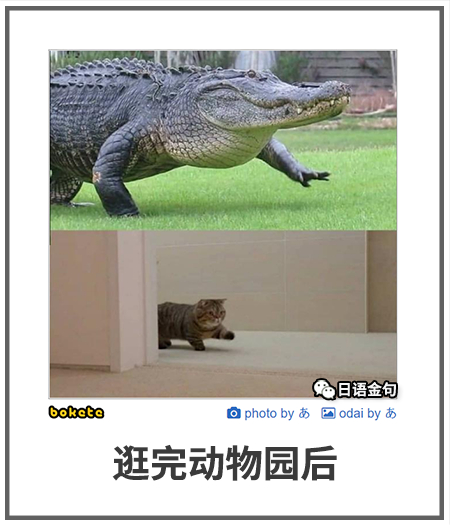 0443  中文网络风尚图片