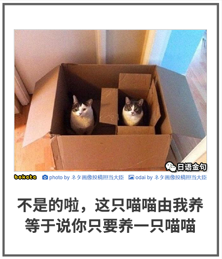 0447  中文网络风尚图片