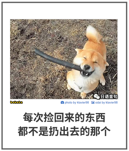 0455  中文网络风尚图片