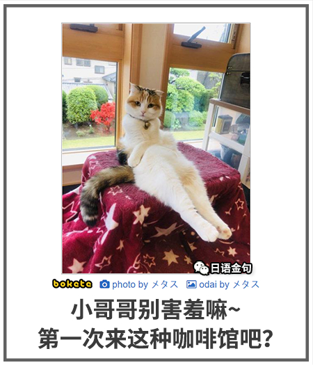 0460  中文网络风尚图片