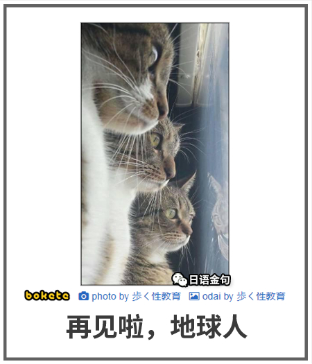 0467  中文网络风尚图片