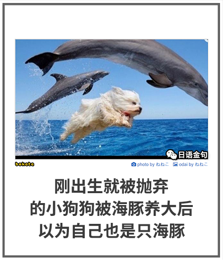 0470  中文网络风尚图片