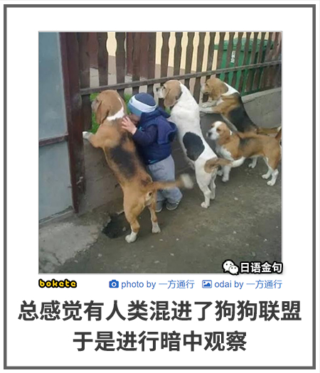 0472  中文网络风尚图片