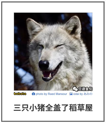 0480  中文网络风尚图片