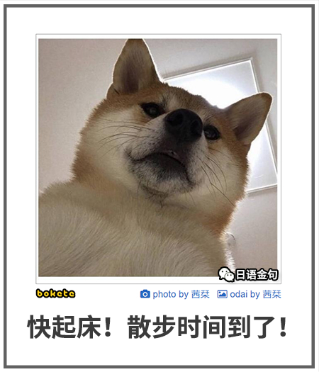 0484  中文网络风尚图片