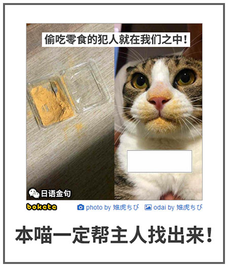 0486  中文网络风尚图片
