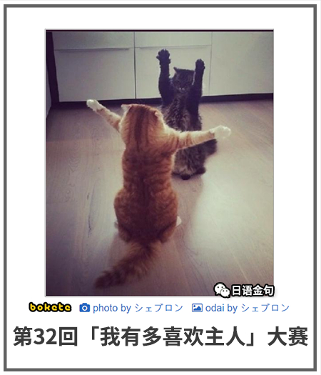 0489  中文网络风尚图片