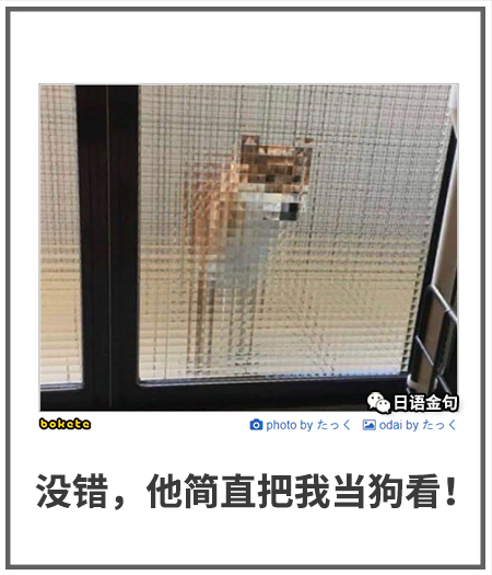 0491  中文网络风尚图片