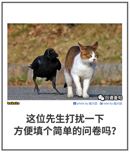 0493  中文网络风尚图片