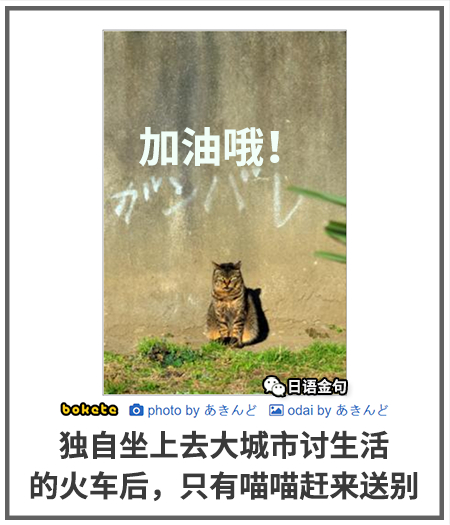 0497  中文网络风尚图片