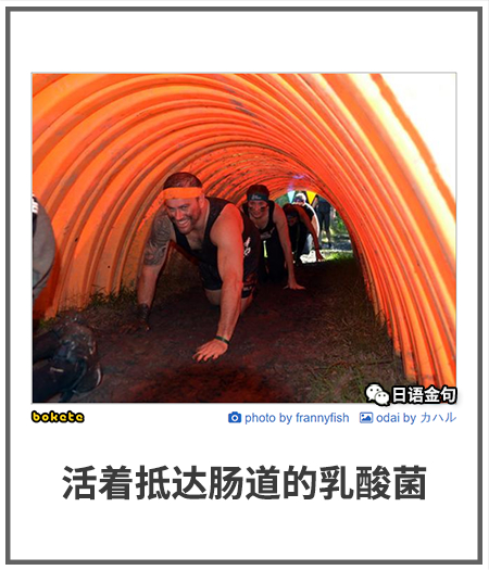 0500  中文网络风尚图片