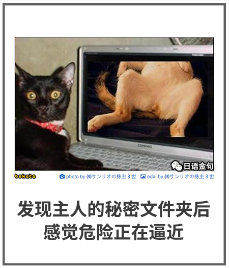 0504  中文网络风尚图片