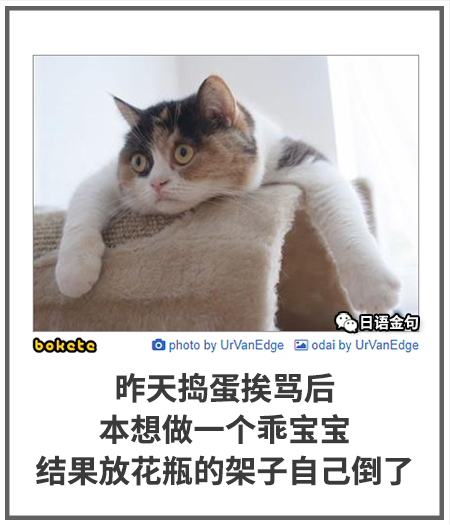 0513  中文网络风尚图片