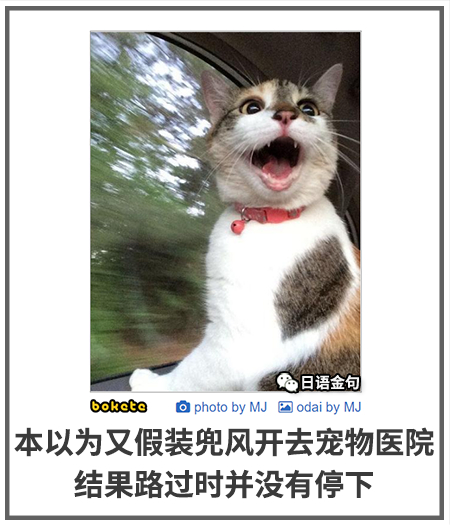 0519  中文网络风尚图片