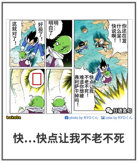 0525  中文网络风尚图片