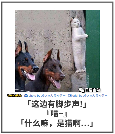 0527  中文网络风尚图片