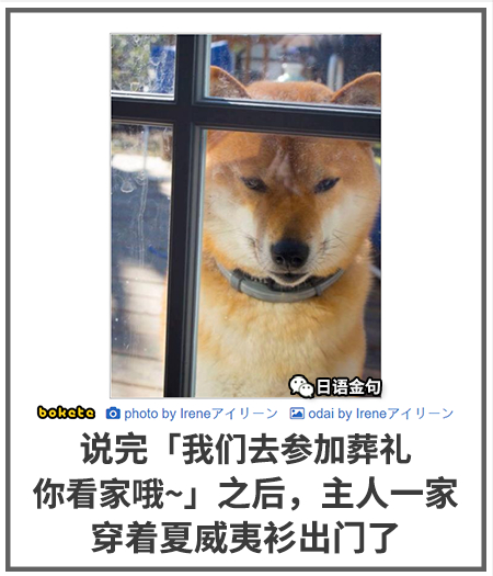 0532  中文网络风尚图片