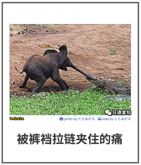 0535  中文网络风尚图片