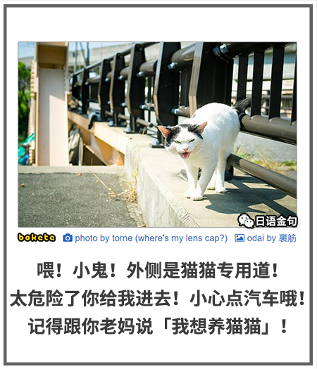 0542  中文网络风尚图片