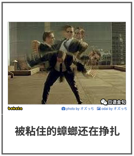 0543  中文网络风尚图片