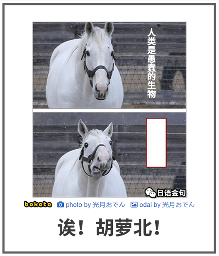 0544  中文网络风尚图片