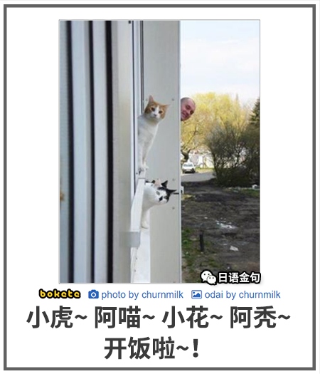 0549  中文网络风尚图片