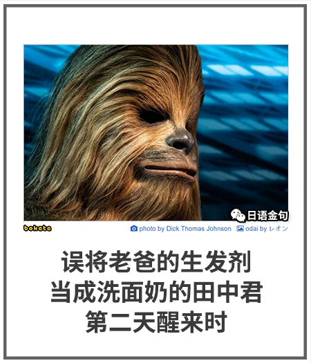 0556  中文网络风尚图片