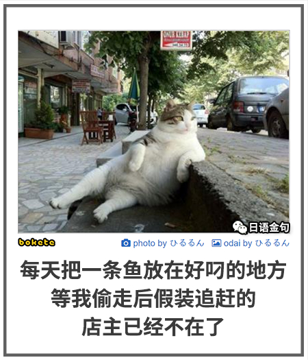 0557  中文网络风尚图片