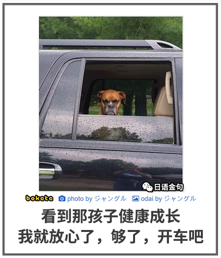 0572  中文网络风尚图片