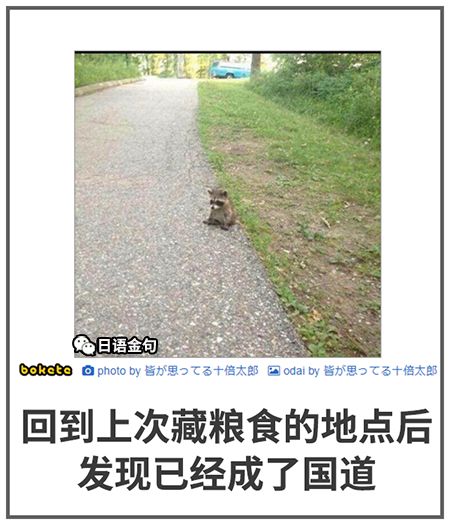 0574  中文网络风尚图片