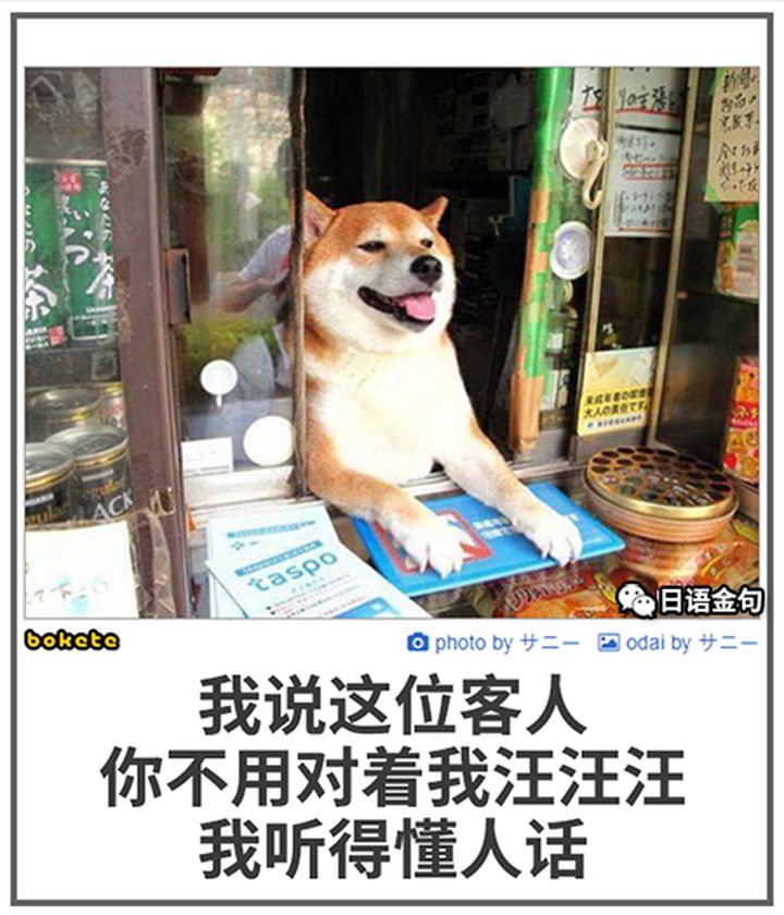 0576  中文网络风尚图片