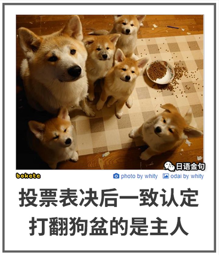 0578  中文网络风尚图片