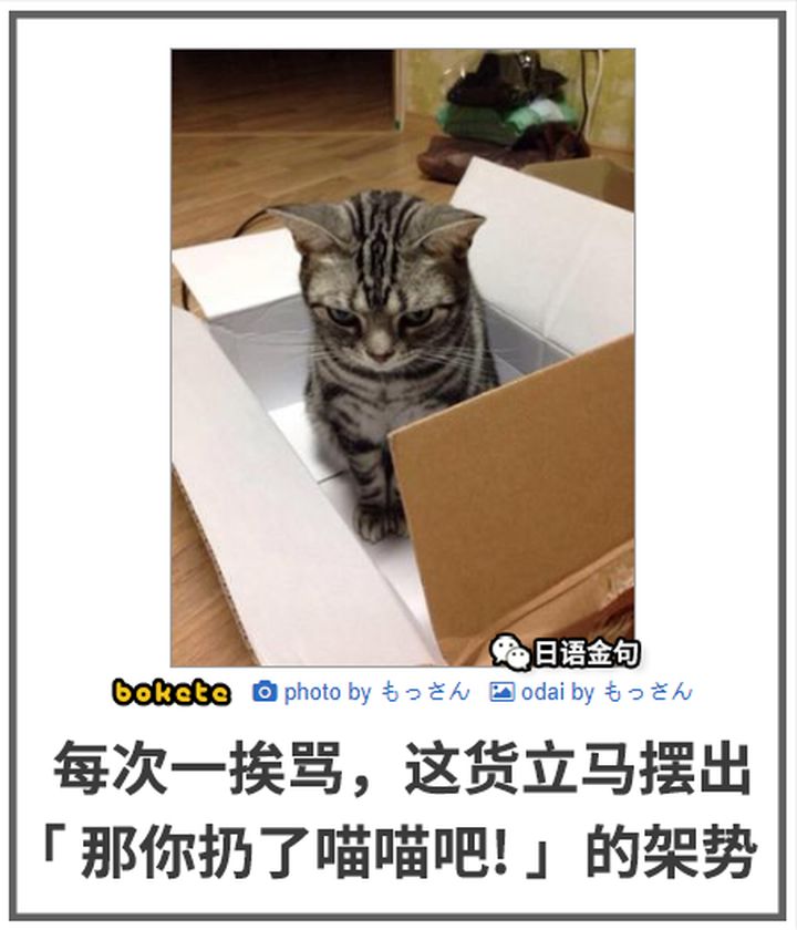 0580  中文网络风尚图片