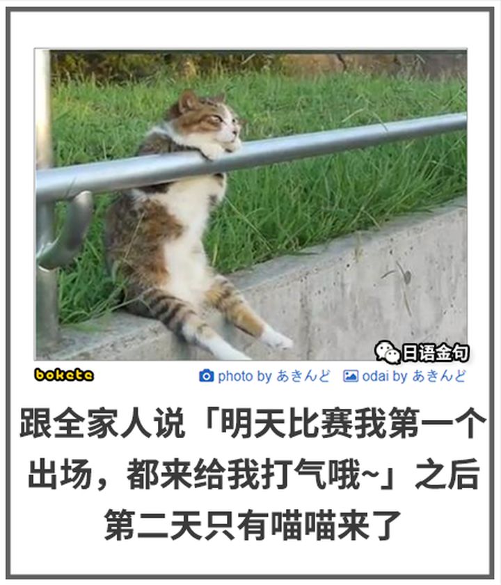 0581  中文网络风尚图片
