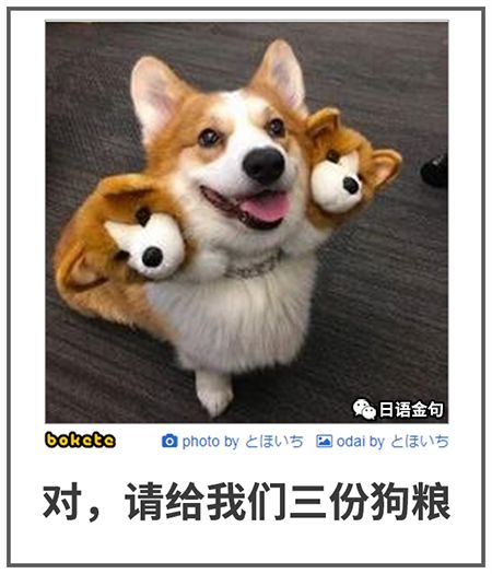 0583  中文网络风尚图片