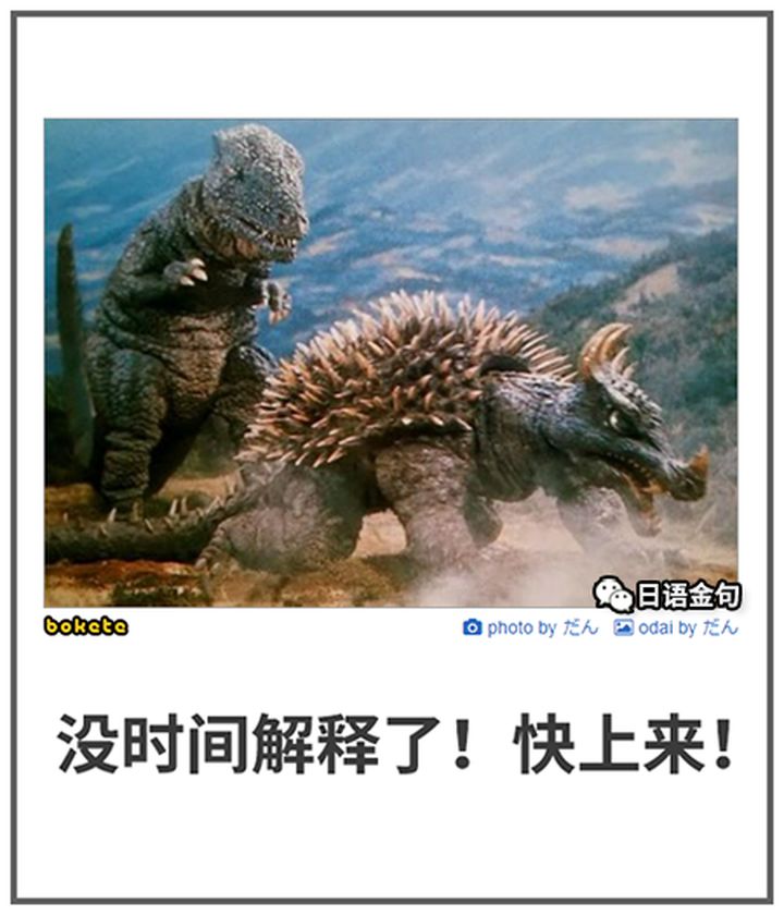 0585  中文网络风尚图片